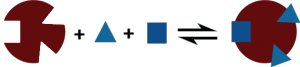 Binding Reaction Scheme 